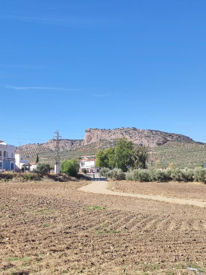Alojamiento Rural Huerta Mandre Cuevas del Becerro Luaran gambar