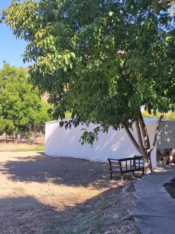 Alojamiento Rural Huerta Mandre Cuevas del Becerro Luaran gambar